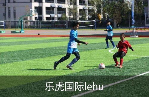 关于乐虎国际lehu